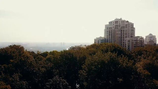 Партія Шарія - те, що нас об'єднує🎈