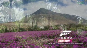 Forza Horizon 5