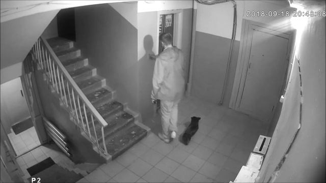 Пакостный сосед, неадекватные соседи! смотреть онлайн