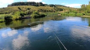 Малая река порадовала хорошей рыбой! Река #Зуша не так проста как кажется! Сплав в летний зной!