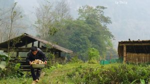 Wild Bamboo Shoot Season Has Come: The Secret to Harvesting the Most Delicious Bamboo Shoots
