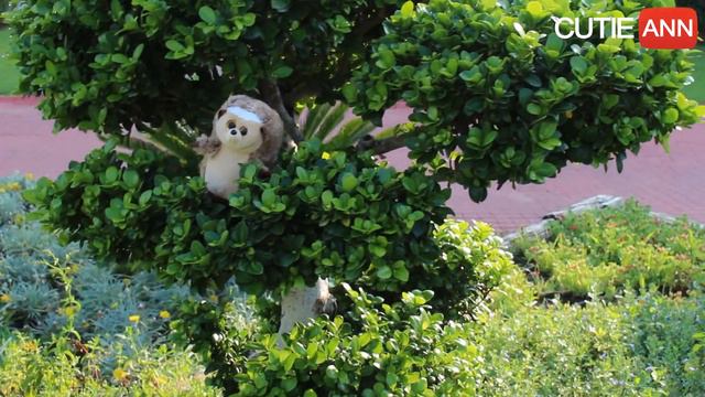 #VLOGSCutieAnn | Каникулы в Турции. Что нужно обязательно сделать на отдыхе. смотреть онлайн