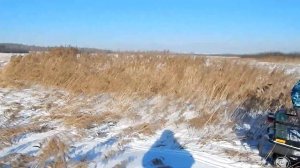 Тайга Варяг.Объезжаем охотугодье