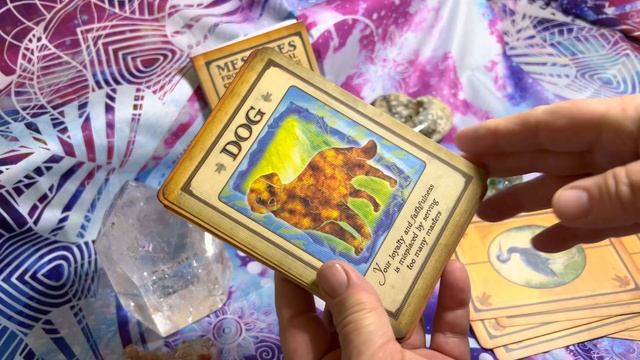 Oracle Card Deck Flip Through of Messages From Your Animal Spirit Guides by Dr. Steven D. Farmer смотреть онлайн