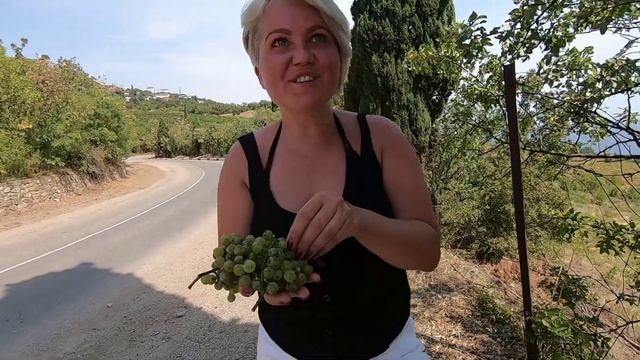 Утёс-Партенит. Дворец Гагариной и мыс Плака. Какой город Крыма выбрать для первой поездки.