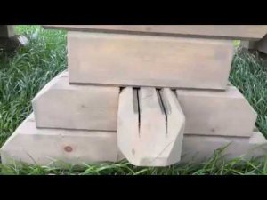 Сухой брус с Компенсационными пропилами вся правда