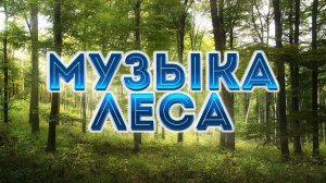 Расслабляющая мелодия под звуки леса. Relaxing melody to the sounds of the forest.
