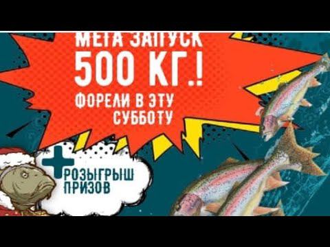 Разгрузка форели!