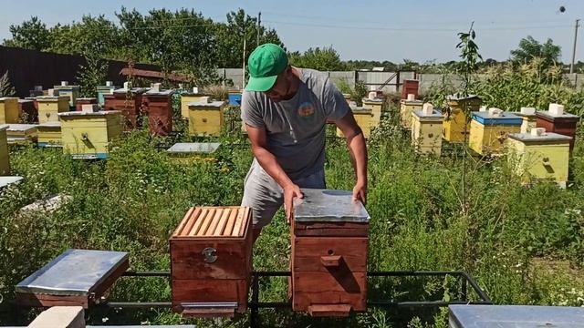 Мы против двухматочного содержание пчёл! Наш метод получения сильных семей смотреть онлайн