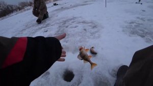 окунь на карюлю с этой приманкой без окуня не останешься