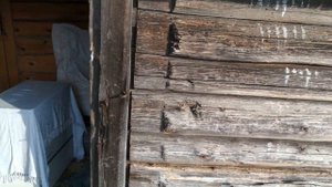 Птичник из старой бани/Кого собираюсь выращивать в деревне? Из Питера в деревню.