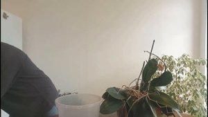 Большой горшок для орхидеи