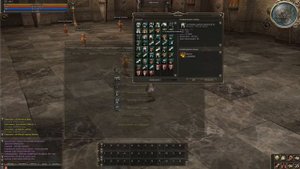 Lineage 2 - Качаем сабклассы #2