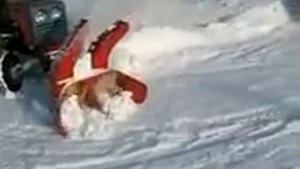 КМЗ 012 снегоуборщик 1