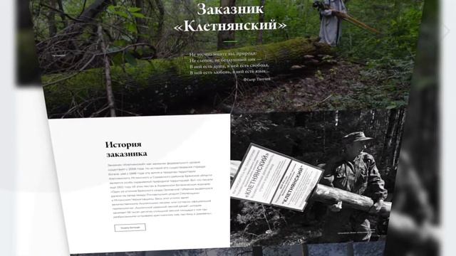 Создание сайта для заповедника «Брянский лес» – ITC MEDIA смотреть онлайн