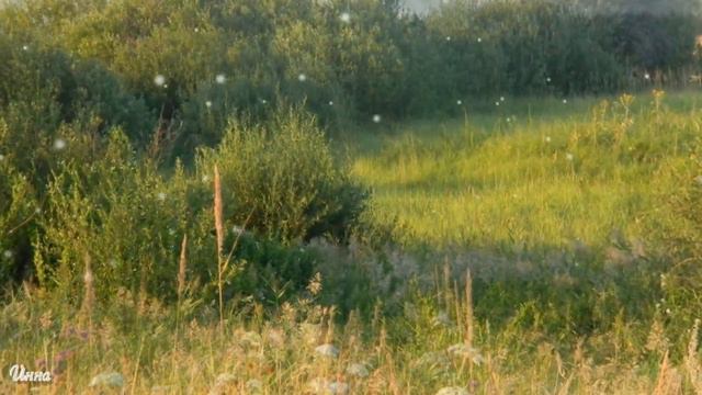 Красивая мелодия для души. Музыка Андрей Обидин " Не повторяется такое никогда." смотреть онлайн