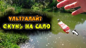 НА ЭТО КЛЮЁТ! УЛЬТРАЛАЙТ. Ловля ОКУНЯ на САЛО