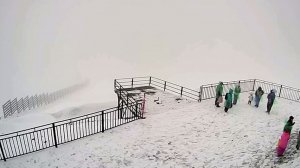 В горах Сочи весь день идет снег