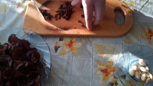 Готовим Аурикулярию уховидную, Муэр или Иудины ушки