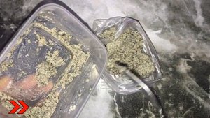 Убойная насадка на карася. Дед раскрыл рецепт старинной насадки на которую успешно ловит уже 40 лет