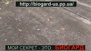 БИОГАРД от сорняков