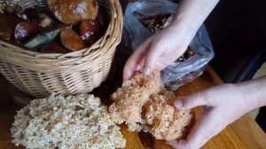 Krause glücke, курчавая чайка, гриб-баран, заячья капуста