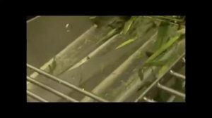 Початкоочиститель "Husker"