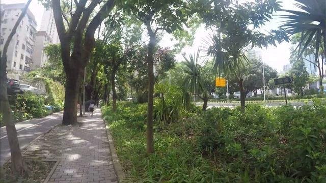 СКРЫТЫЕ КАМЕРЫ В ОТЕЛЯХ В КИТАЕ смотреть онлайн