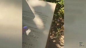 ~~ Учебник стенографии