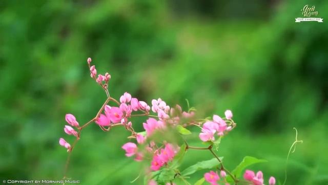 THE BEST GOOD MORNING MUSIC - Positive Energy Meditation Music To Start Your Morning With