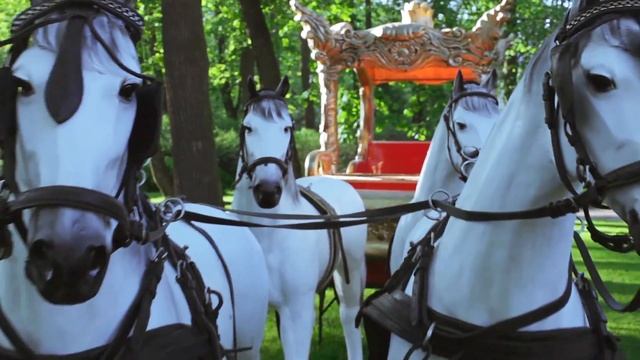 Карета для Золушки | Проекты Aira.ru смотреть онлайн