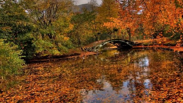 НА ТРОЙКЕ КАУРЫХ смотреть онлайн