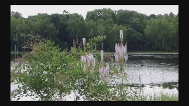 Смахни слезу с ресницы