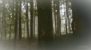 Лэндон и Хоуп || ты нужнее, чем воздух