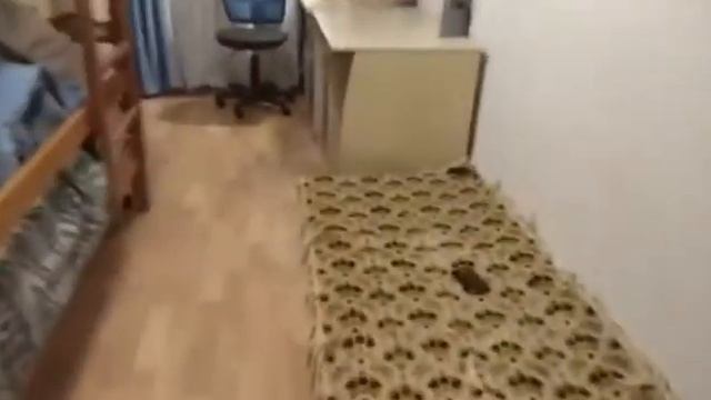 Продажа 2к квартиры на Павловом Поле смотреть онлайн