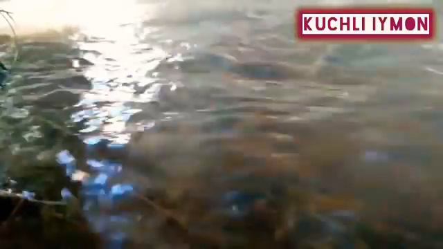 Қабристонда асло бундай ишни қилакўрман, Феруза отинойи янги марузалари 2021