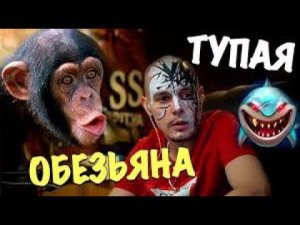 Какой вред наносит стример Витус и что такое "лицензионное" казино онлайн им рекламируемое. #витус