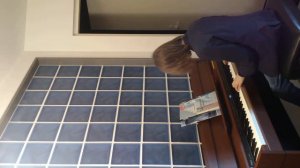 Н. Огинский-Полонес