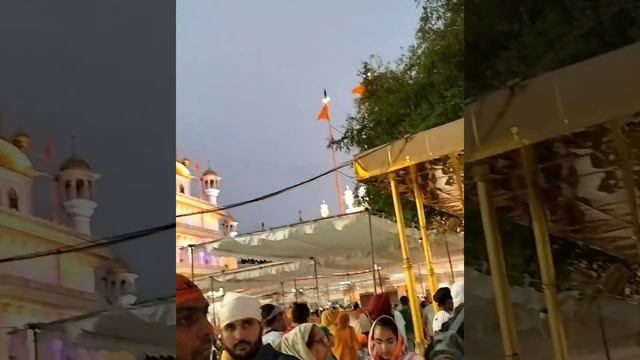 #short #beautiful Golden temple during night