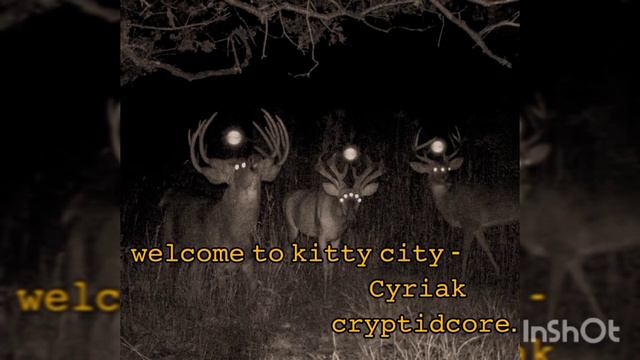 {Welcome To Kitty City - Cyriak} [☏︎𝙳𝙴𝙴𝙿𝙴𝙽𝙴𝙳&𝚂𝙻𝙾𝚆𝙴𝙳&𝙱𝙰𝚂𝚂☏︎] смотреть онлайн