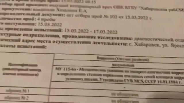 Перевозка, пересылка ПЧЁЛ самолетом. Подробненько. смотреть онлайн