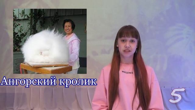 10 Самых интересных животных смотреть онлайн