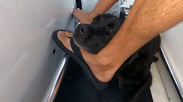 An almost X-RATED scene with my NEW SPEARGUN {The Waterman Games Sneak Peak} смотреть онлайн