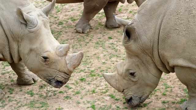 5 УПРАЖНЕНИЙ ДЛЯ РАЗВИТИЯ КРИТИЧЕСКОГО МЫШЛЕНИЯ смотреть онлайн