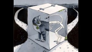 Куда деть умирающее животное?