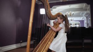 Anna Ilina. Harp. Mozart. La Tartine Beurree