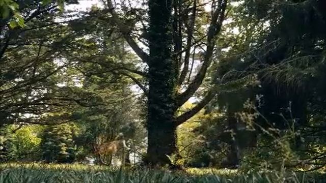 Понятия не имела, что муж - маменькин сынок, пока свекровь не переехала поближе. Реальная история смотреть онлайн