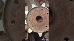 ведущая звезда гусянки Буран