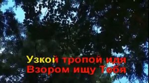 Гимны Надежды   187  Бог мой храни меня  (-)