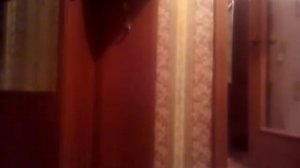 Видео камера телевизоре